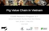 Pig value chains in Vietnam