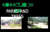 Importance of Parks and Trees In Our Environment
