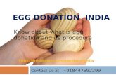 Know about the Egg Donation procedure in India