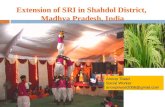 Extension of SRI in Shahdol District,  Madhya Pradesh, India