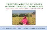 0948 Performance of SCI Crops during Drought Season 2009