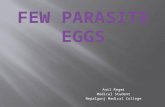 Few parasite eggs