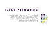 Streptococci With Pics (1)