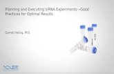 Planning and Executing siRNA Experiments—Good Practices for Optimal Results