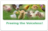 Freeing the voiceless
