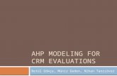 Analytic Hierarchy Process (AHP) Modeling for CRM Evaluations