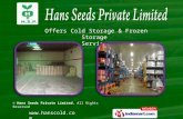 Hans Seeds Private Limited, Uttar Pradesh, India