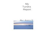 My Tundra Report Engelhardt