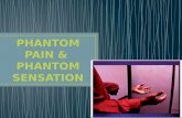 Phantom pain & sensation 1