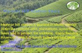 Munnar hill station tours in kerala
