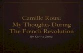 French Revolution Journal Entries (Karina Zeng)