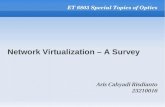 Network Virtualization - A Survey - Presentation