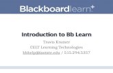 BbLearn Introduction Workshop