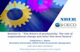The drivers of productivity: The role of organisational change and other firm-level factors, Catherine Mann