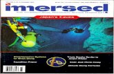 Immersed magazine   japan's underwater caves