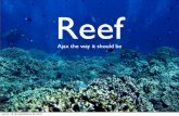 Reef. Ajax the way it should be