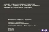 A STUDY OF DRAG FORCES ON ATTACHED COLLOIDAL PARTICLES IN A PACKED BED USING MULTISCALE NUMERICAL MODELING