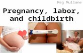 Pregnancy, labor, and childbirth