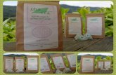 Tea Packaging photos collage - Mock Ups