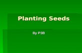 Planting seeds ni
