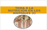 Tema 8:Nutrición en animales (I)