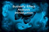 Butterfly effect analysis