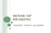 Special sense of hearing