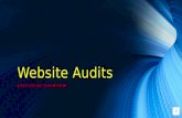 Website audit
