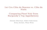 Premier Cru Côte de Beaune vs Côte de Nuits - Boston Wine Expo