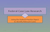Federal case law research flowchart