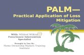 Vol. 04: PALM—Practical Applications of Loss Mitigation