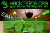 Background of Hackteria and Upcoming HLab 14 - Yogya