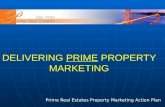 Prime Marketing Presentation Ver 7