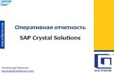Sap Crystal Solutions