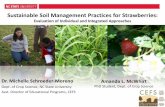Sustainable Soil Management for Stawberries
