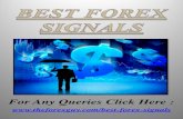 Best forex signals