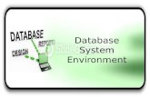 Database system environment ppt.