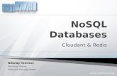 8. Cloud software development - no sql databases