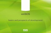 Web os. basics and prospects of development