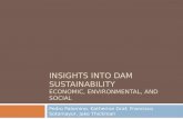 Sustainability of Dams