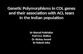 Genetic Polymorphisms in COL genes and Their Association with ACL Tears in the Indian Population-Dr. Sharad Prabhakar