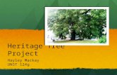 Heritage tree presentation