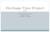 Heritage tree project