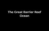 Barrier reef ocean