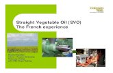 Straight Vegetable Oil: The French Experience