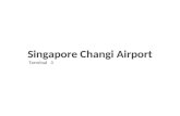 Singapore changi airport (wh)