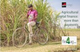 Agricultural digital finance: more than payments