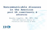 Noncommunicable Diseases in the Americas_Branka Legetic_4.23.13