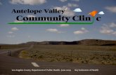 Antelope Valley Health Status in PDF