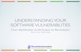 Understanding Software Vulnerabilities
